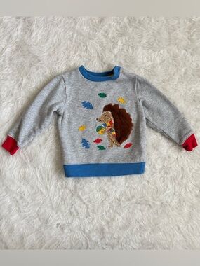 Baby Boden Cozy Crewneck with Happy Hedgehog & Leaves Appliqué